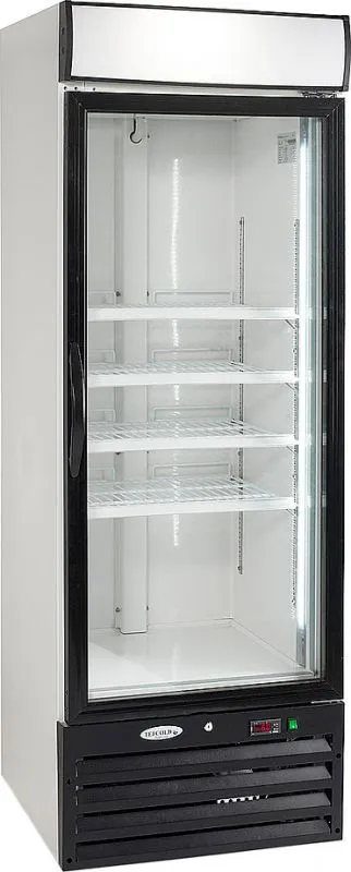 Шкаф морозильный Tefcold NF2500G фото