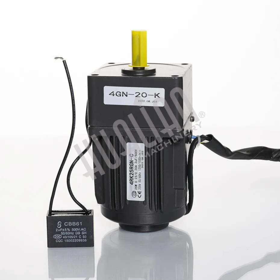 Мотор-редуктор 4RK25RGN-CF/4GN20-K (220 В) для конвейера BS-4525A Hualian Machinery