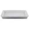 Гастроемкость GN 1/1 H=65 мм. фарфор P.L. Proff Cuisine фото