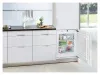 Встраиваемый морозильник Liebherr IG 1024 фото