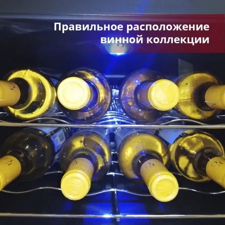 Винный шкаф Cold Vine C8-TBF1 фото