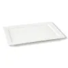 Гастроемкость GN 1/1 H=20 мм. фарфор, P.L. Proff Cuisine фото